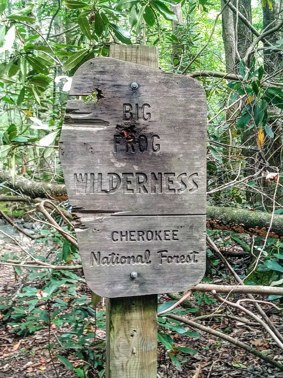 Yellow Stand Lead Trail No. 78