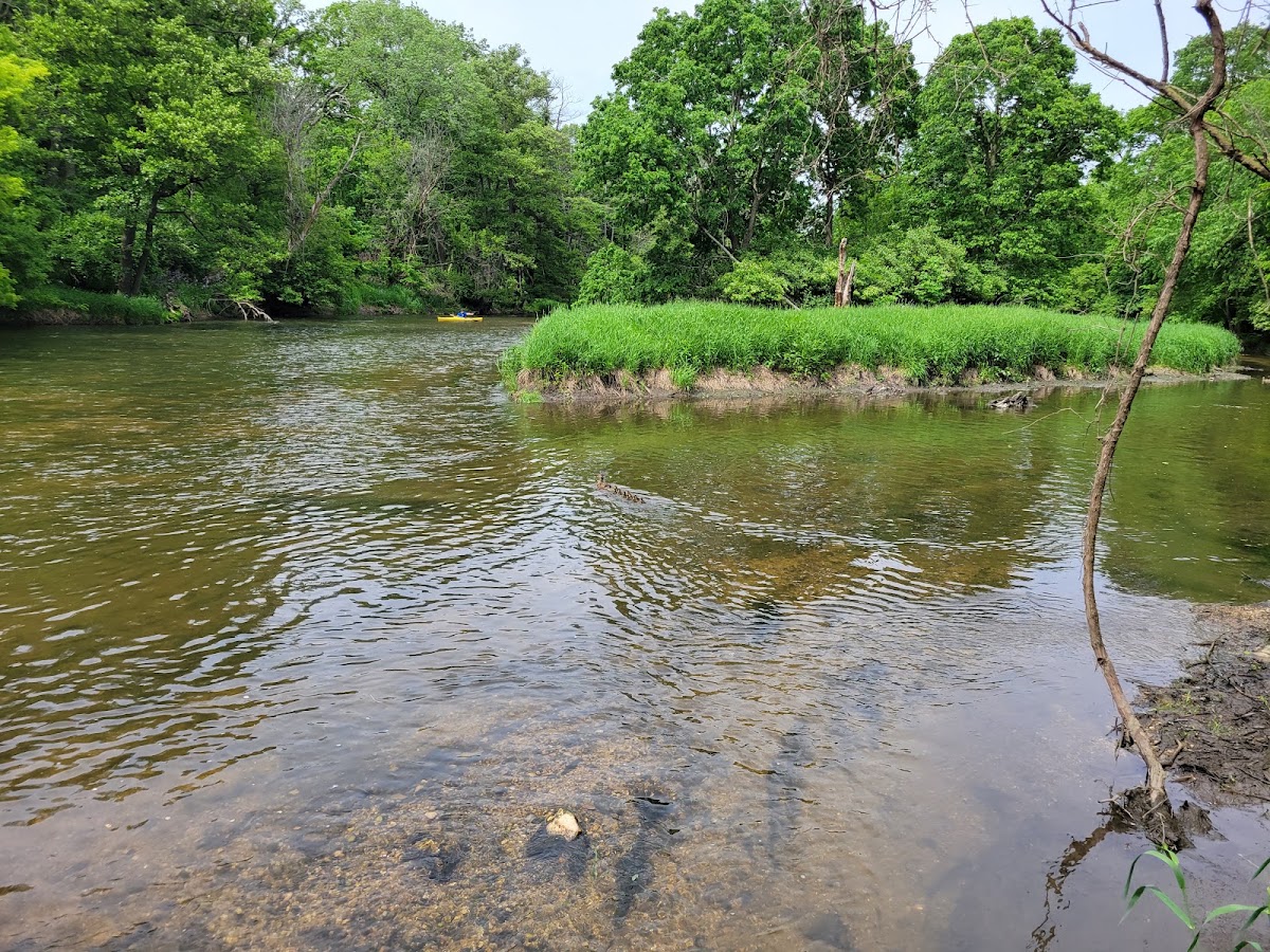 West Branch DuPage River