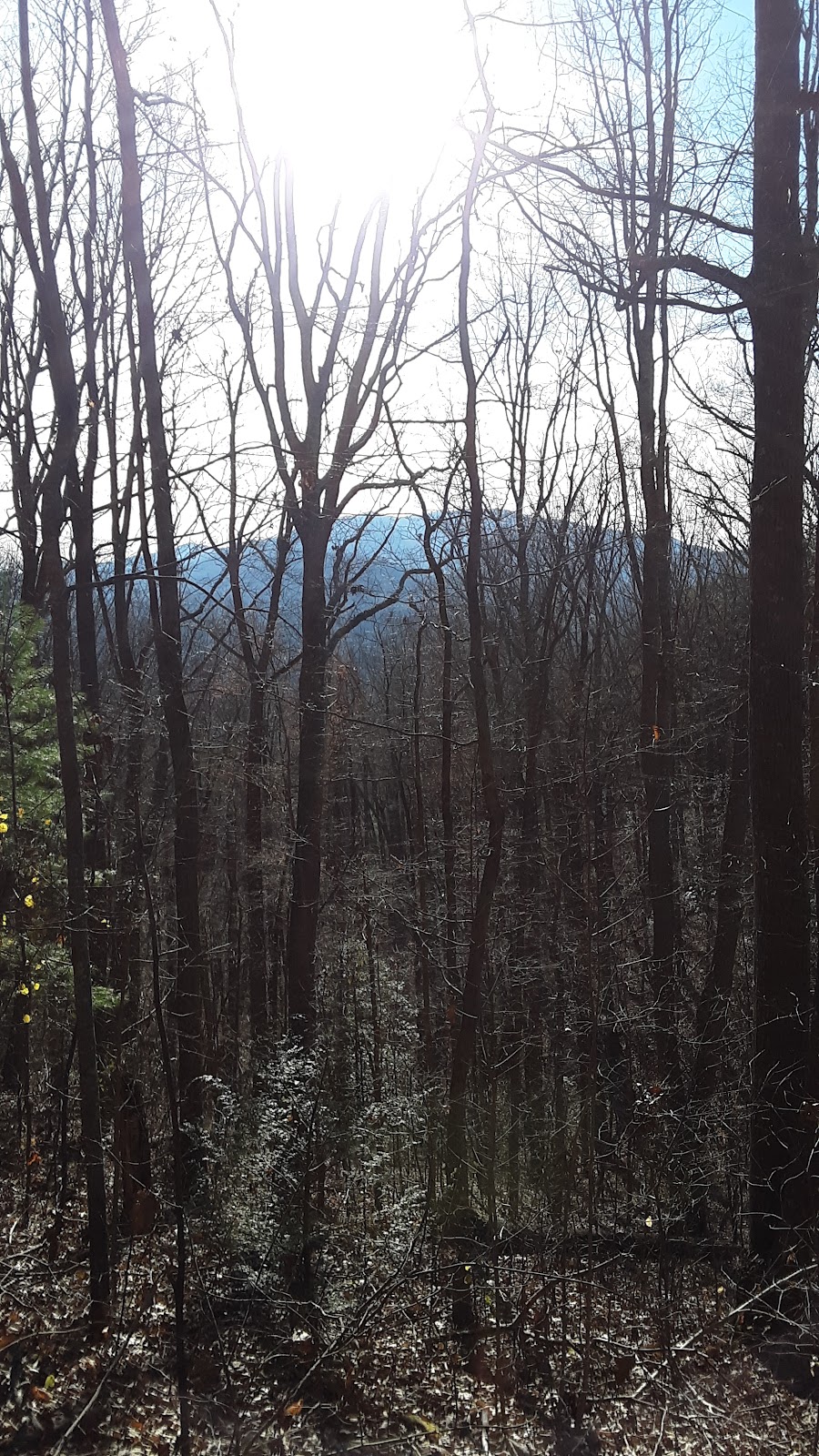 Rock Creek