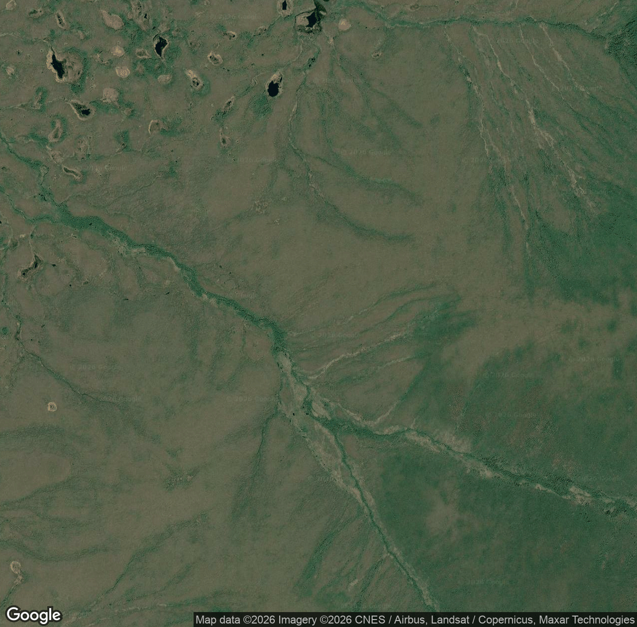 Iditarod River