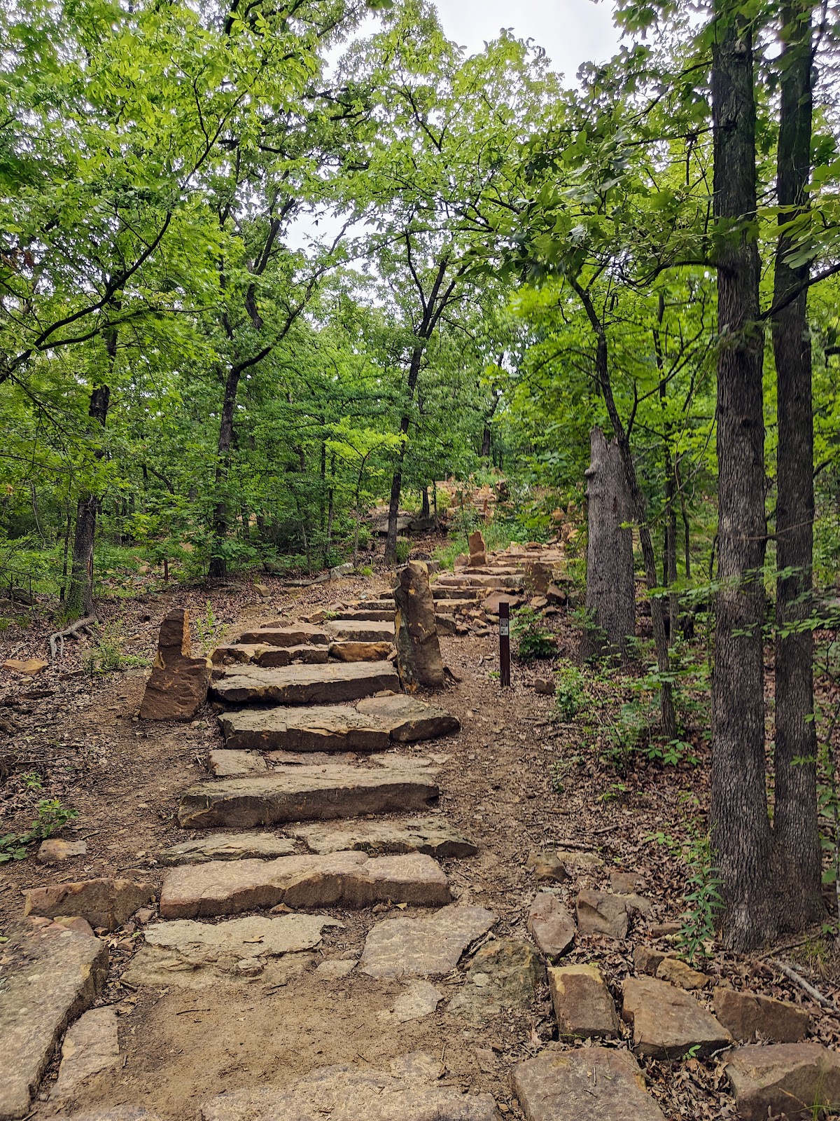 Turkey Mountain Park