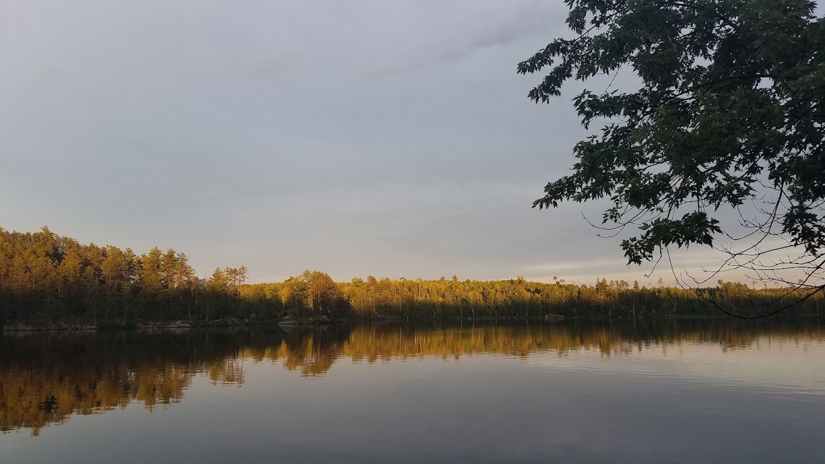 Low Lake