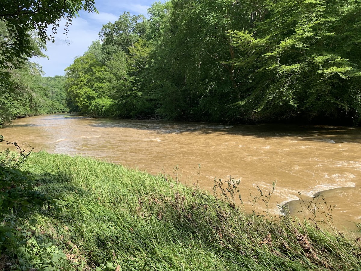 Deer Creek