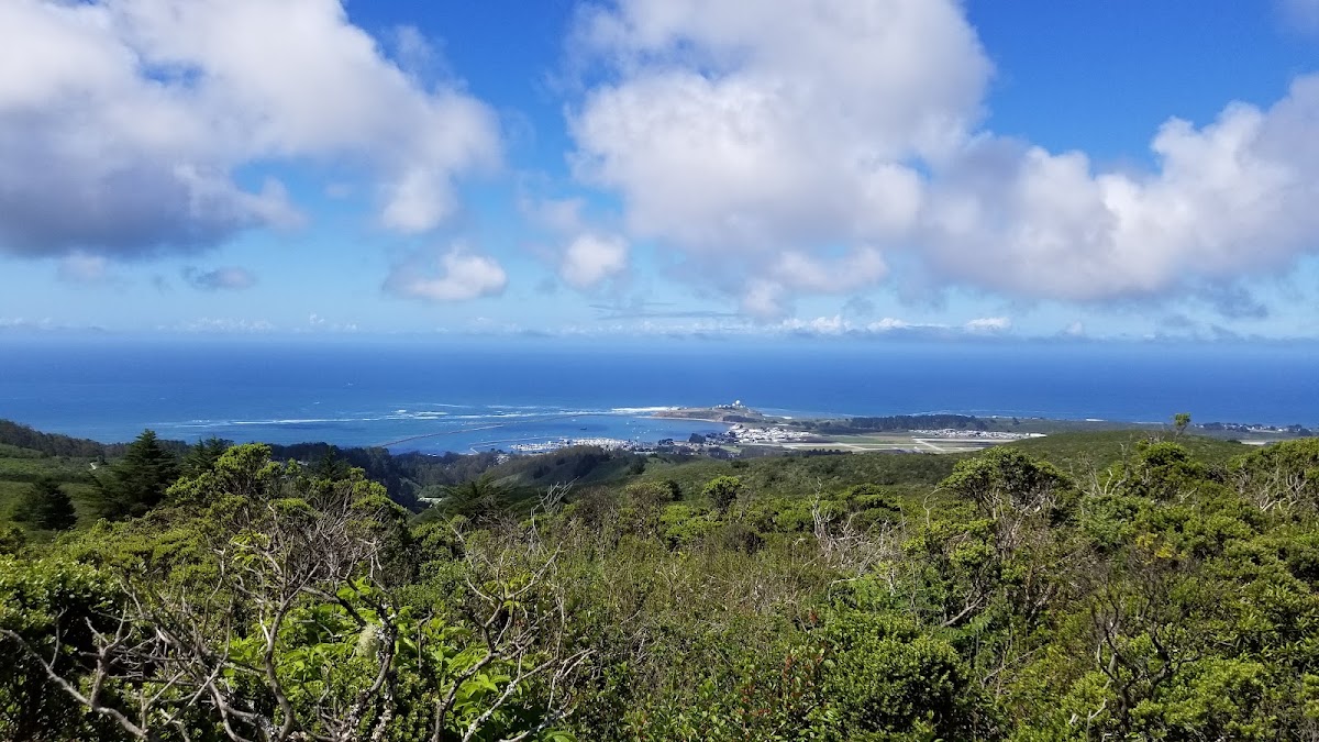 French Trail (God's)