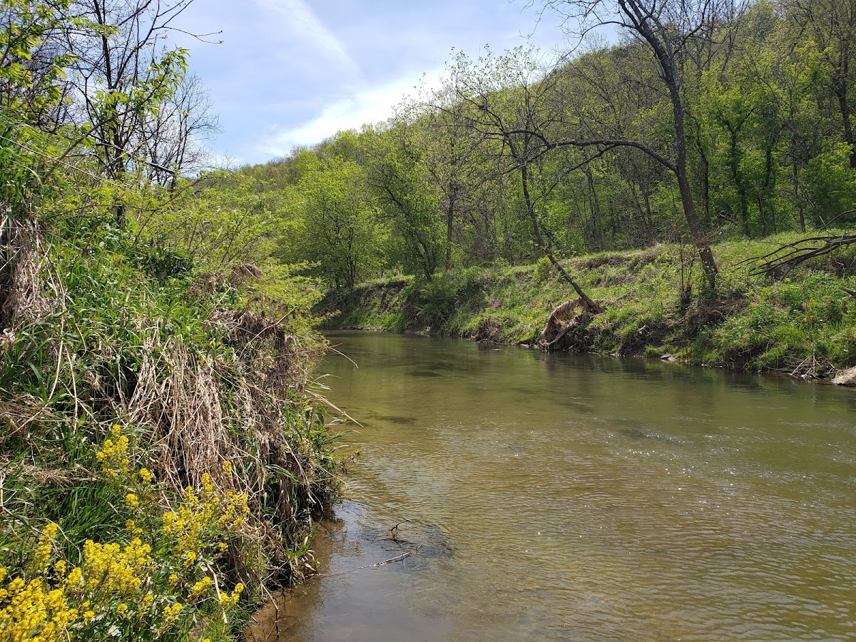 Coon Creek