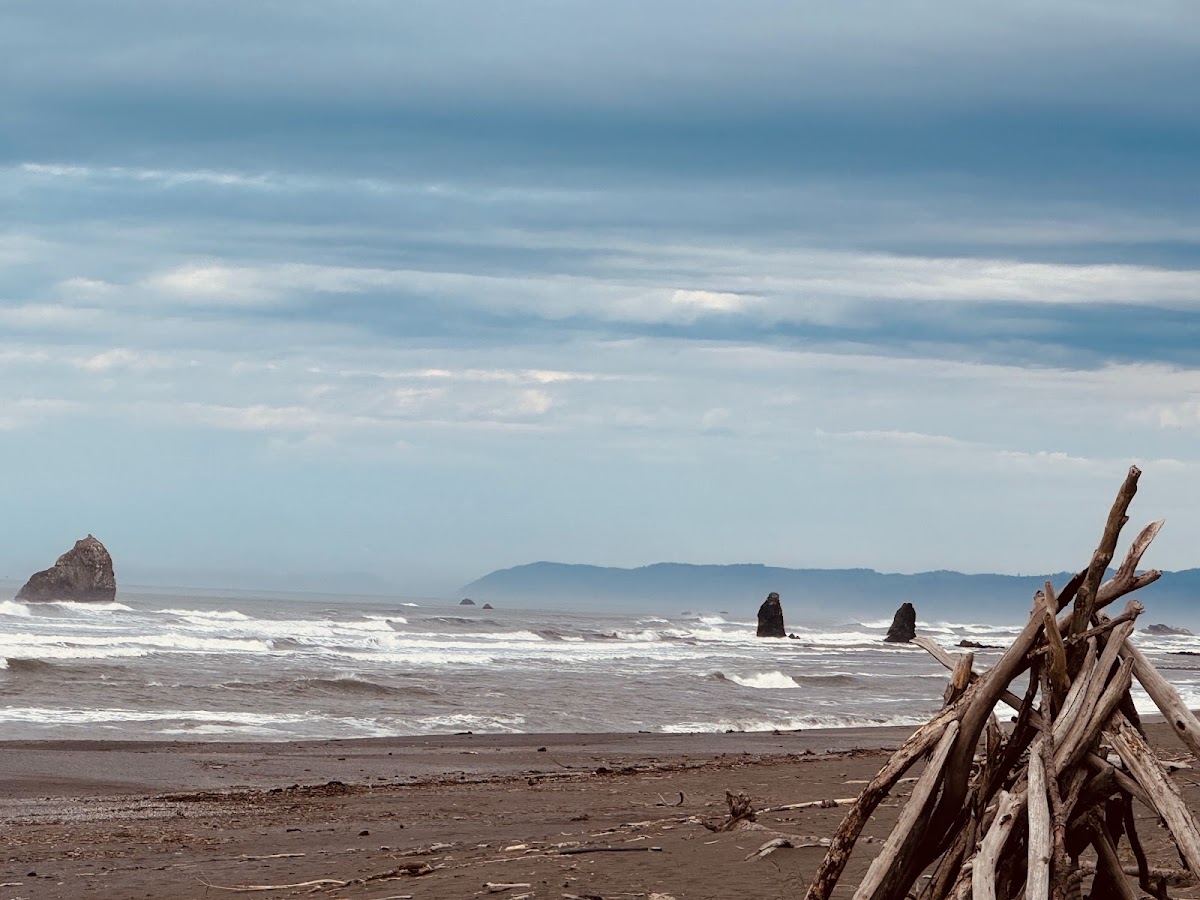 Redwood Creek Beach