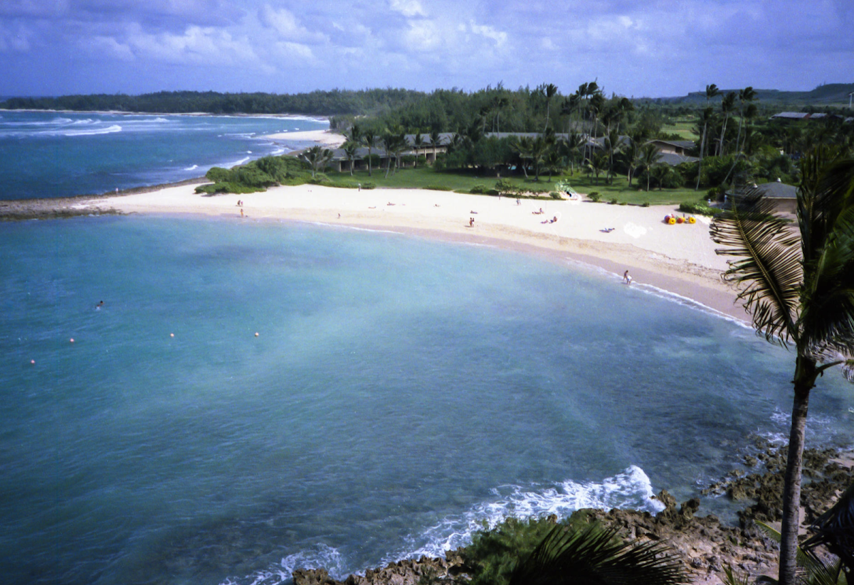 Turtle Bay