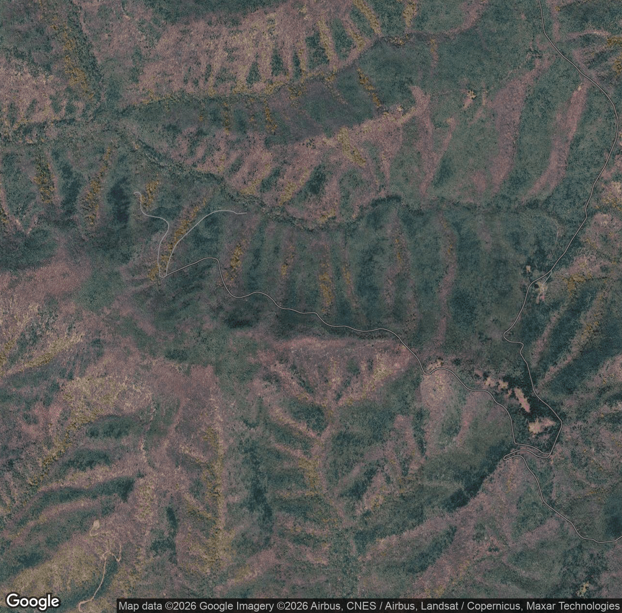 Feedstone Mountain Forest Road