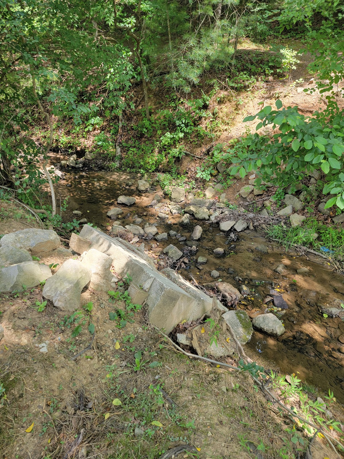 Otter Park