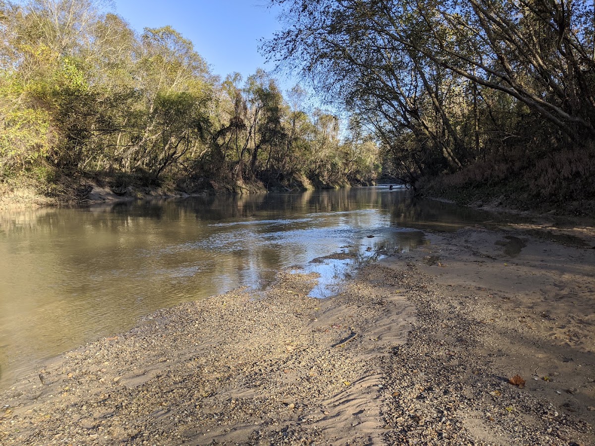 Comite River