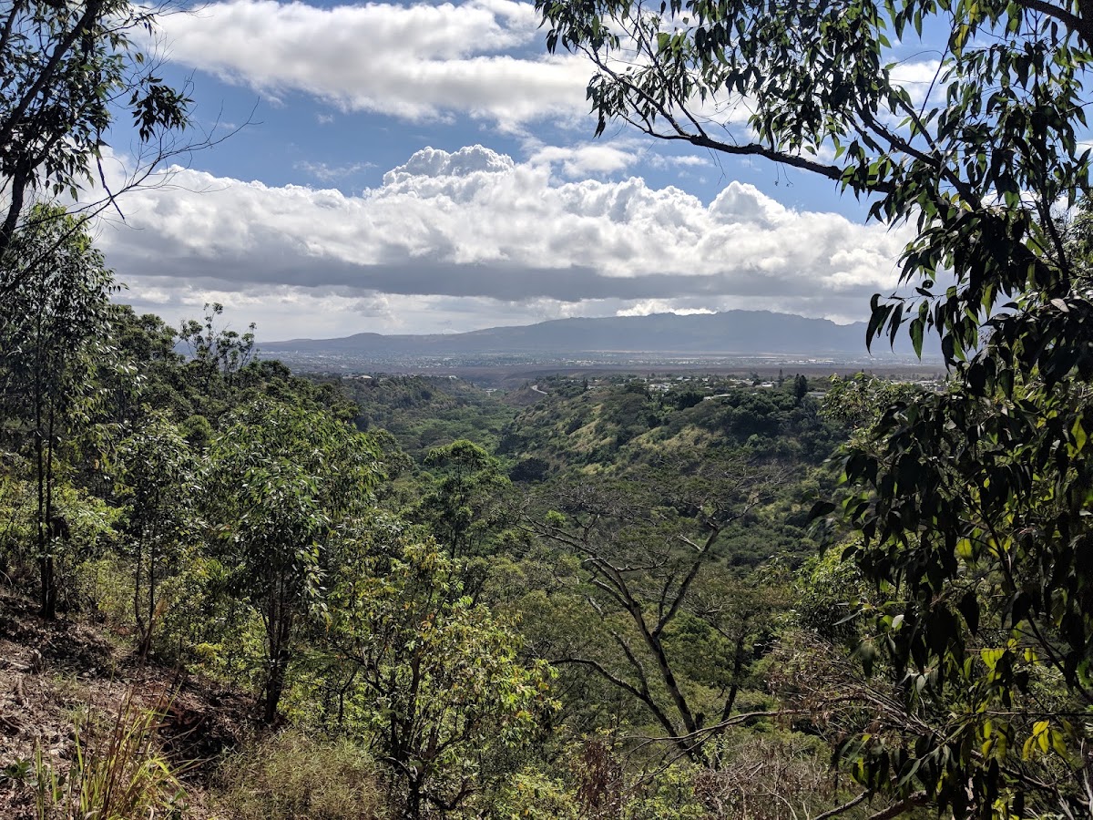 Waimano Ridge Trail