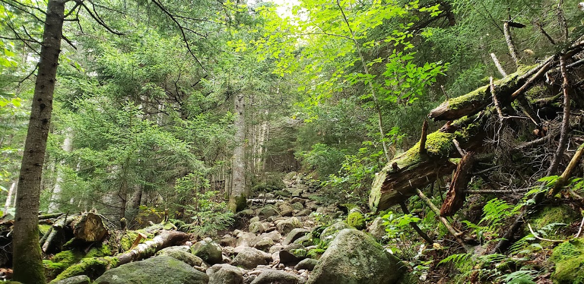 Liberty Spring Trail