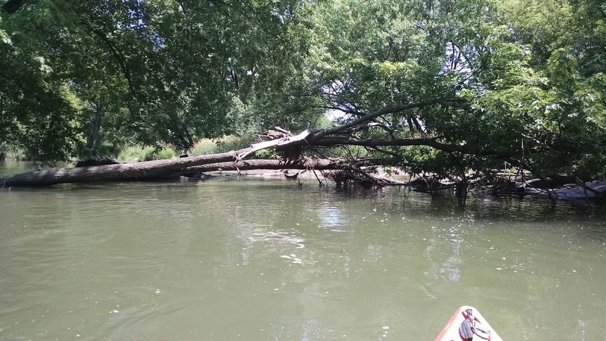 Kyte River
