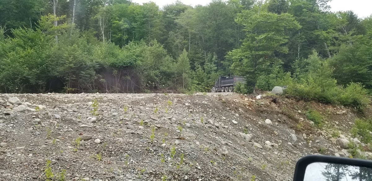 Holly Brook
