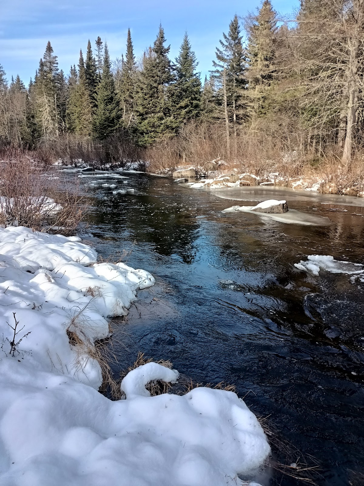 Bald Mountain Stream