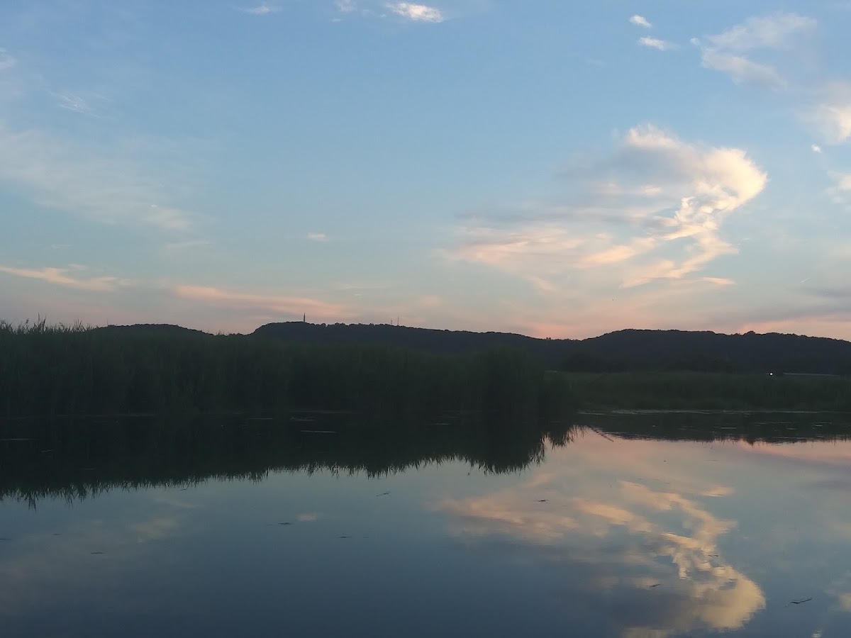 Quinnipiac River