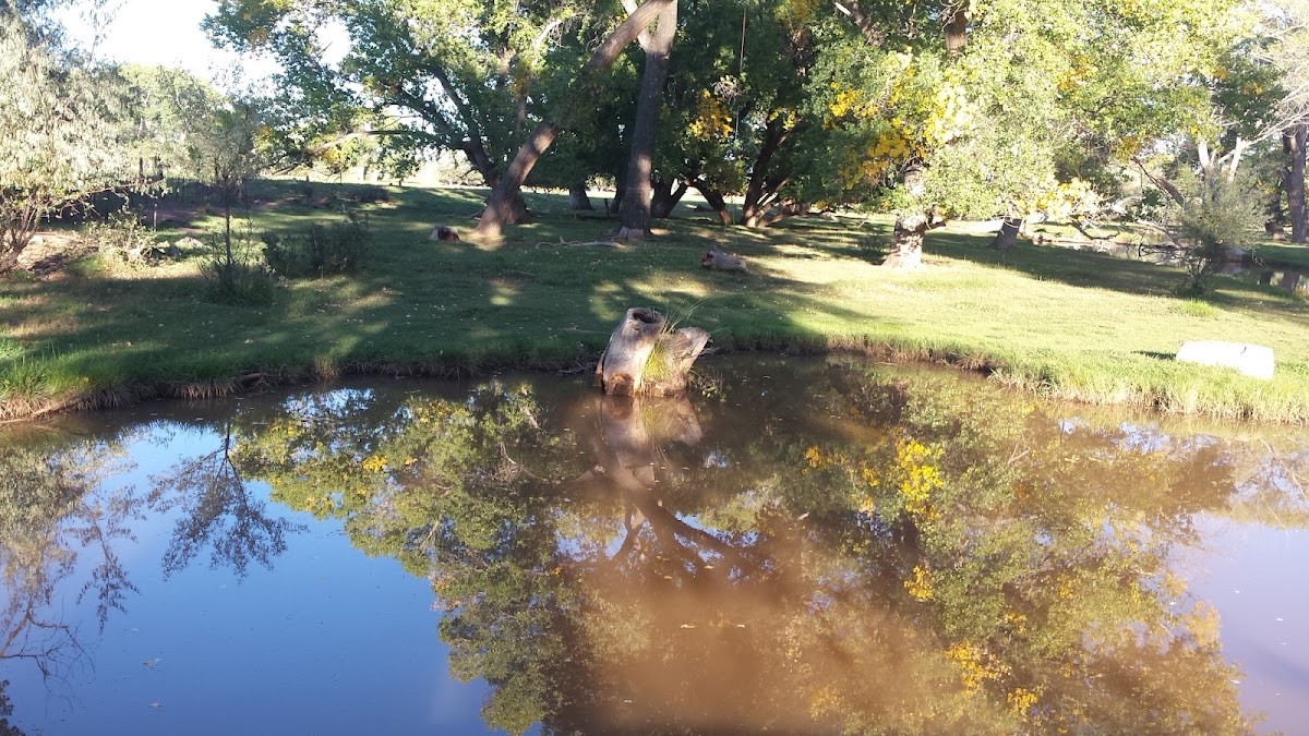 Silver Creek