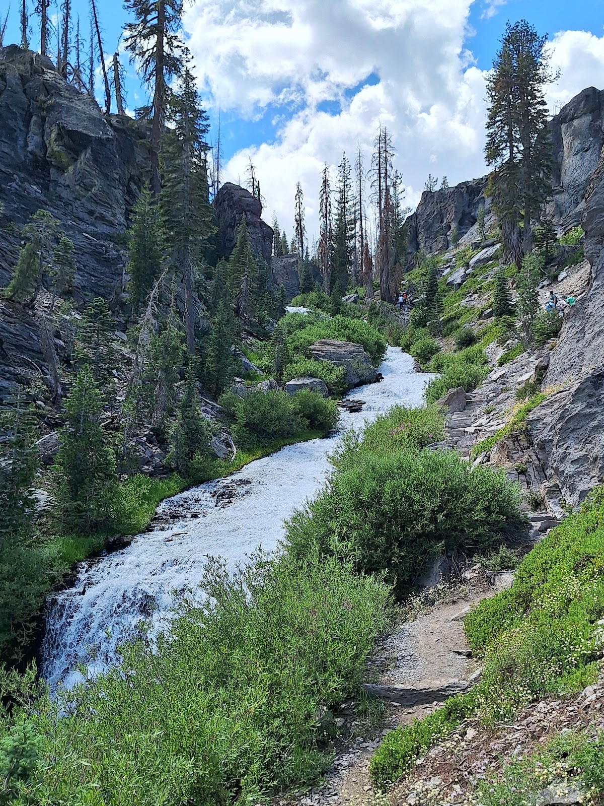 Kings Creek Falls Viewpoint