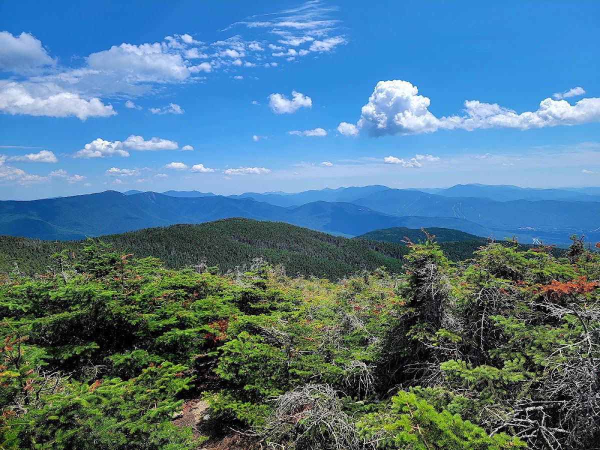 Mount Kinsman Trail