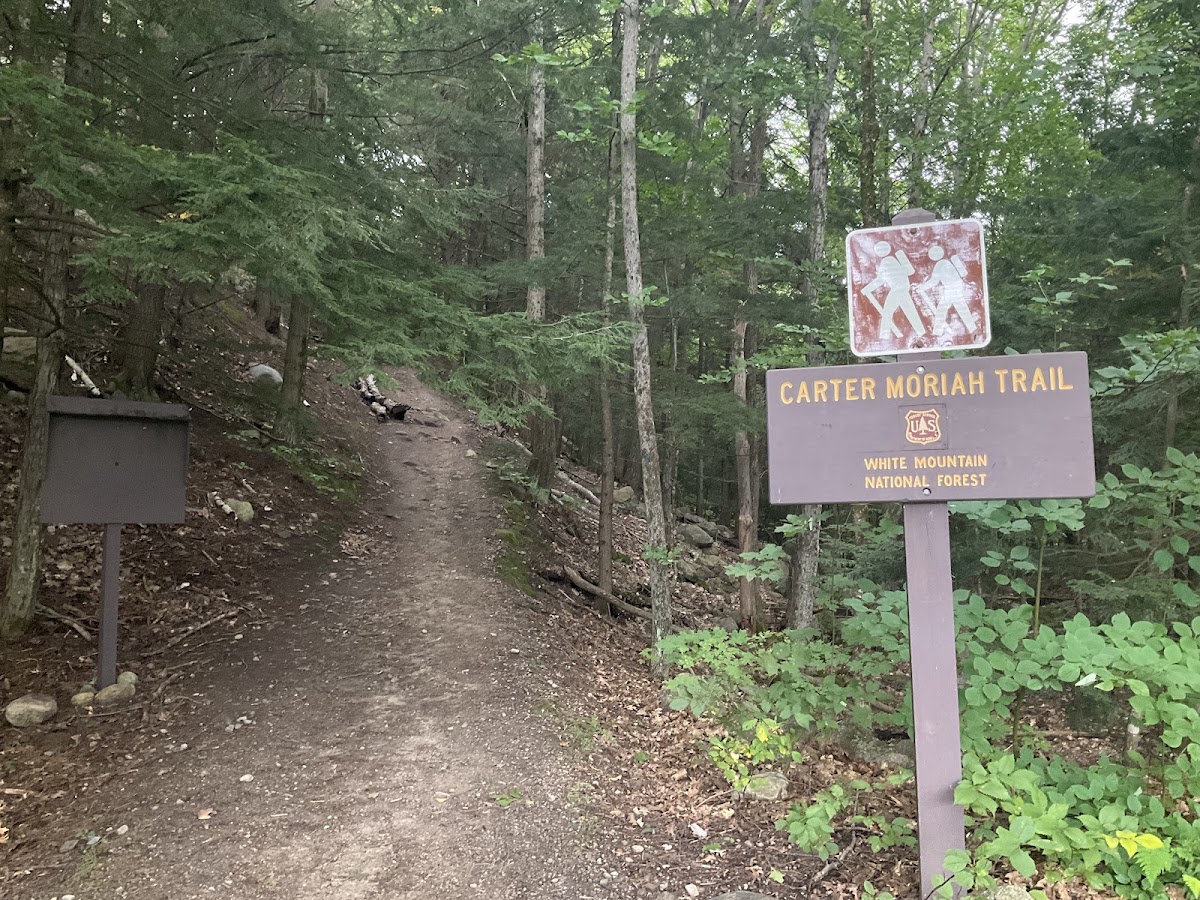 Carter-Moriah Trail
