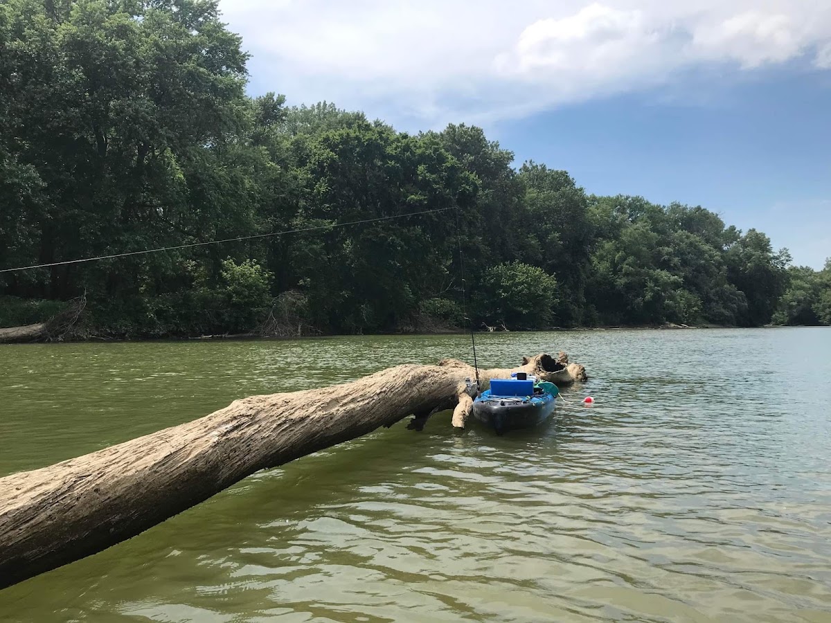 Driftwood River