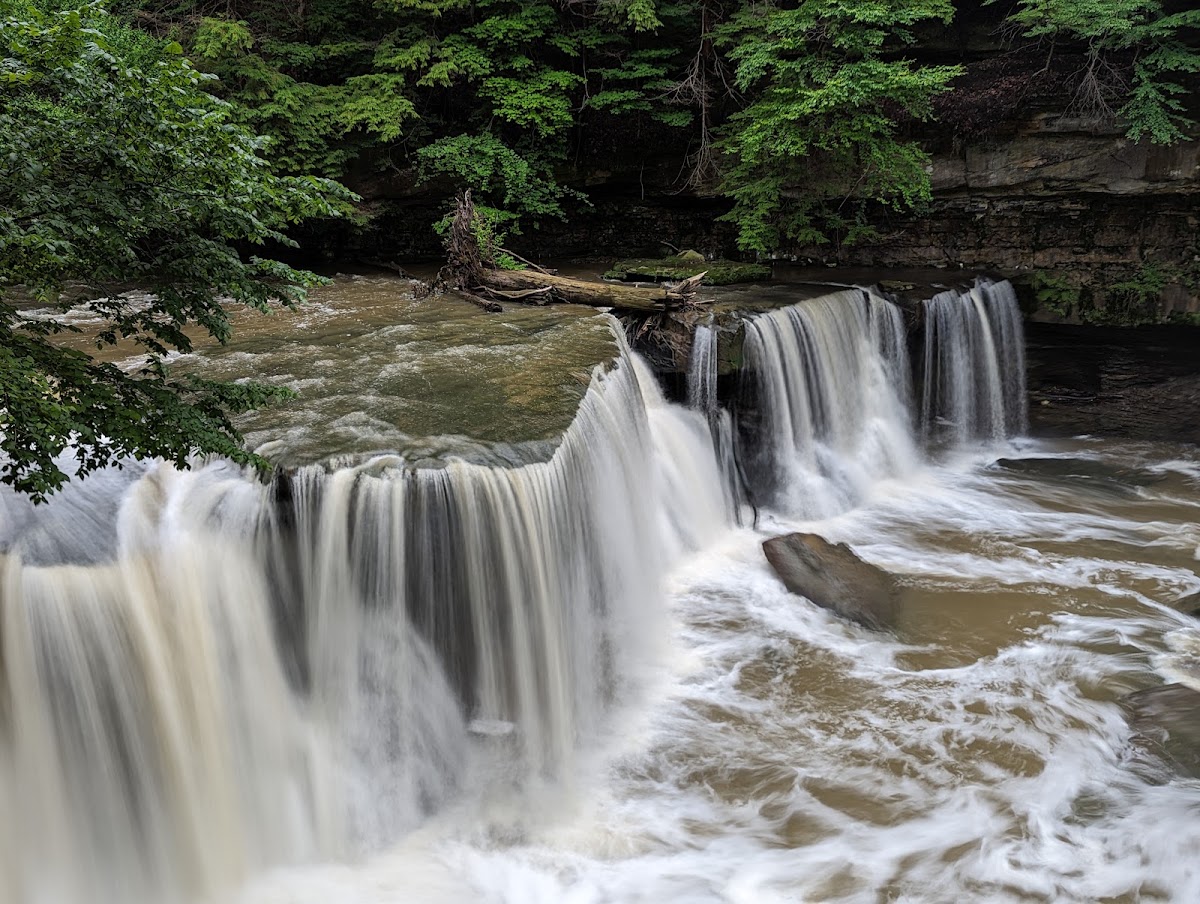 Tinker's Creek