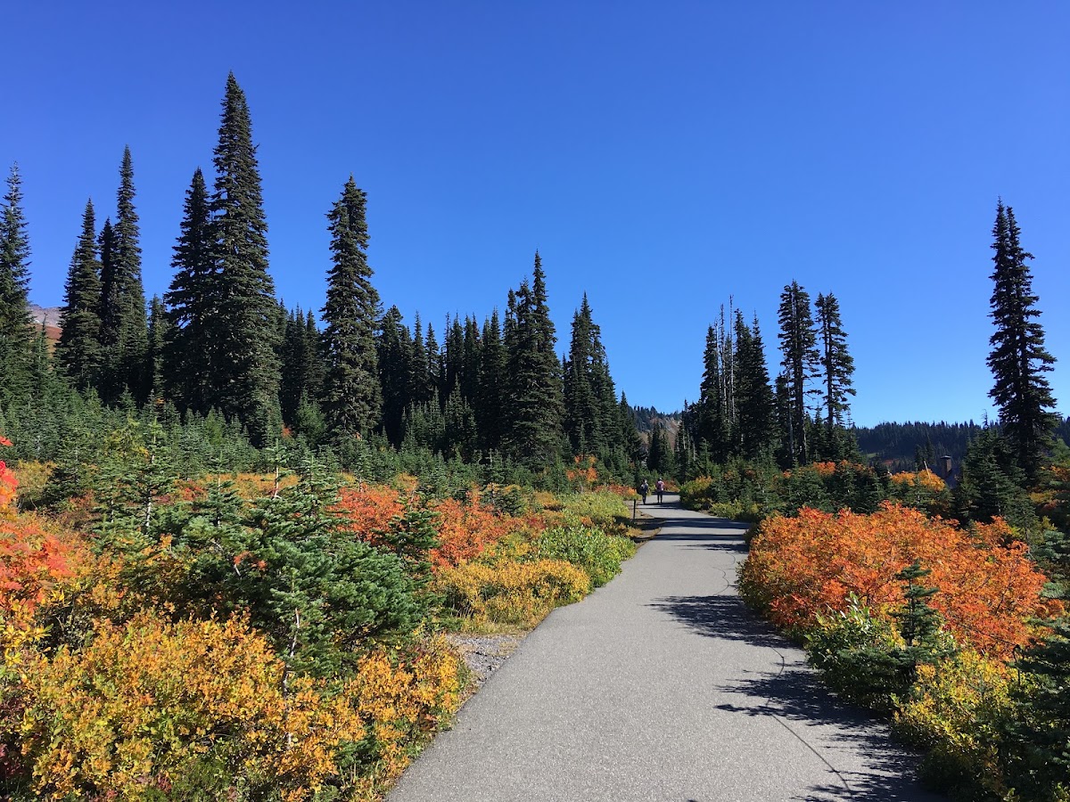 Skyline Trail