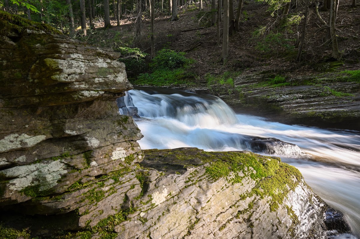 Dingmans Creek Trail