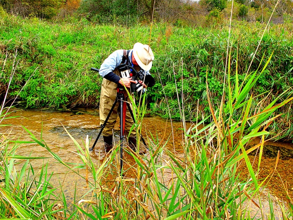 Verdigre Creek