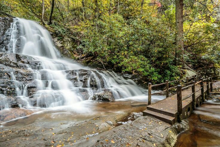 Laurel Falls Trail