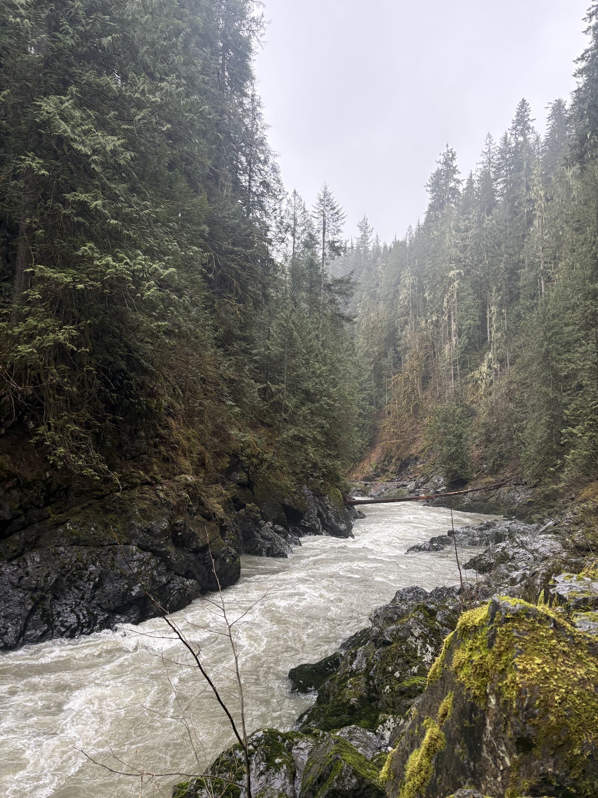 Robe Canyon Historic Trail Park