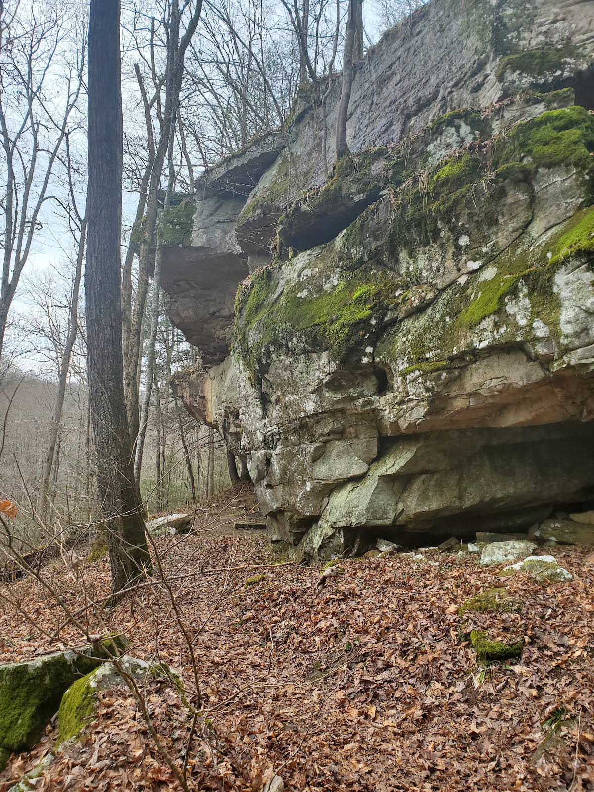 Gernt Trail Cumberland Valley Loop Trail