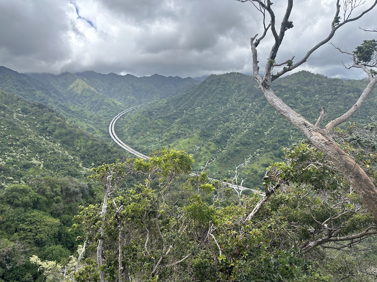 Tripler Ridge Trail