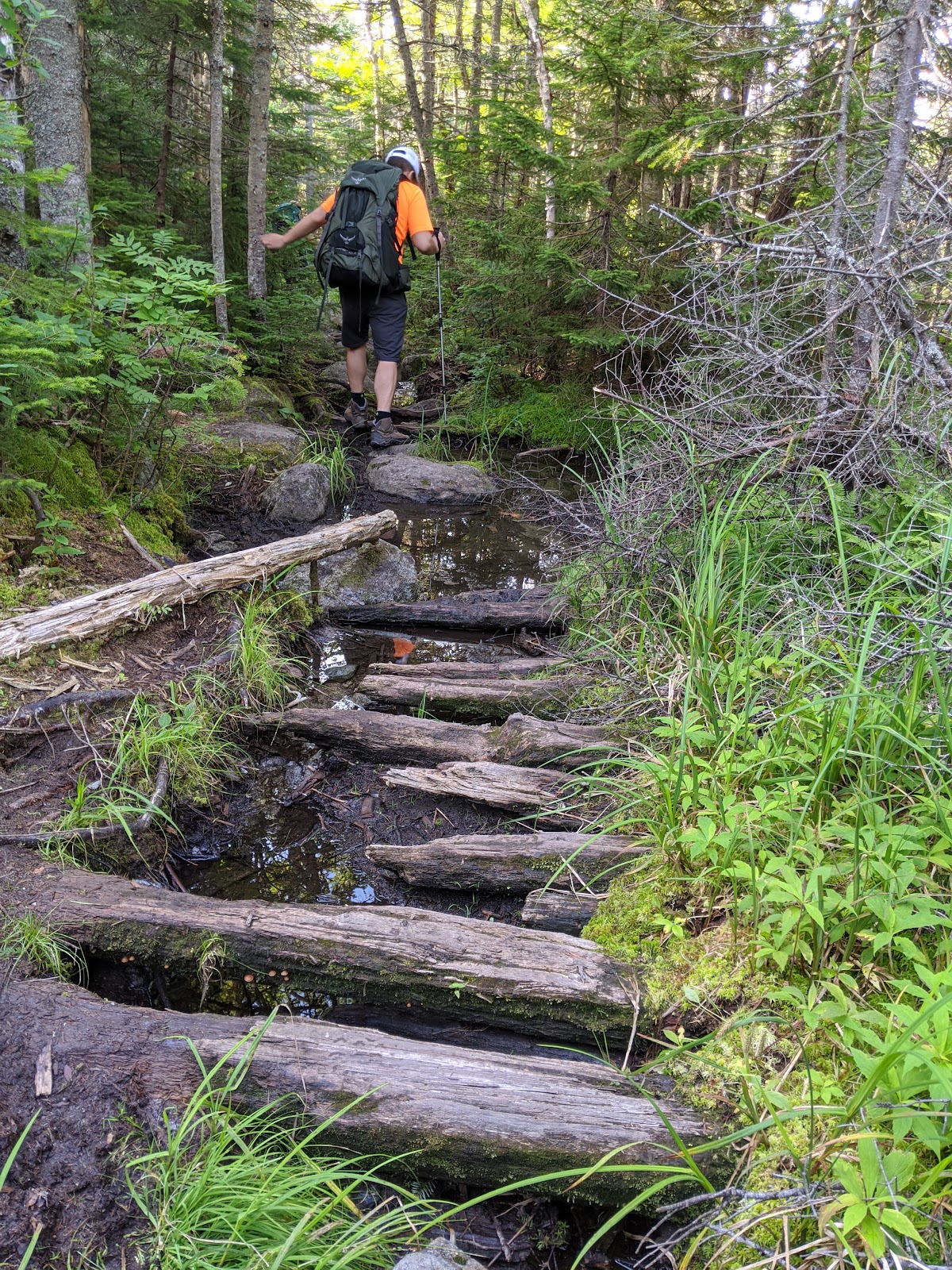 Rocky Branch Trail