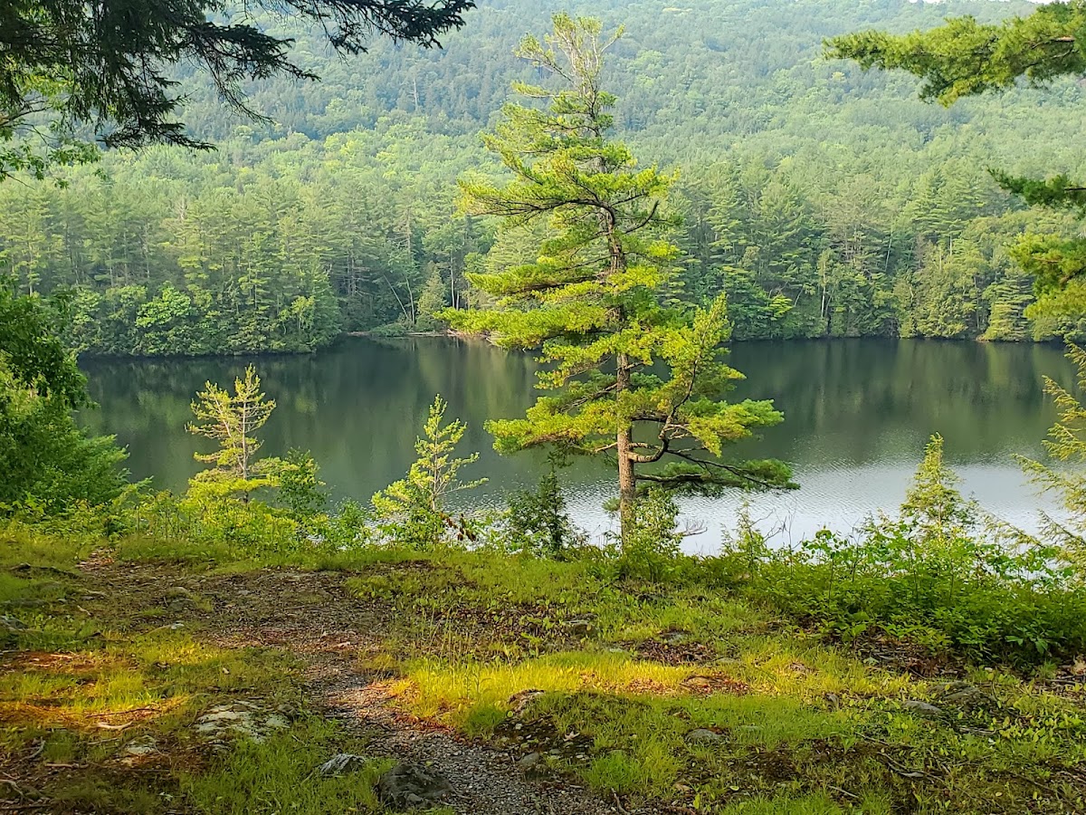 Kennebec River