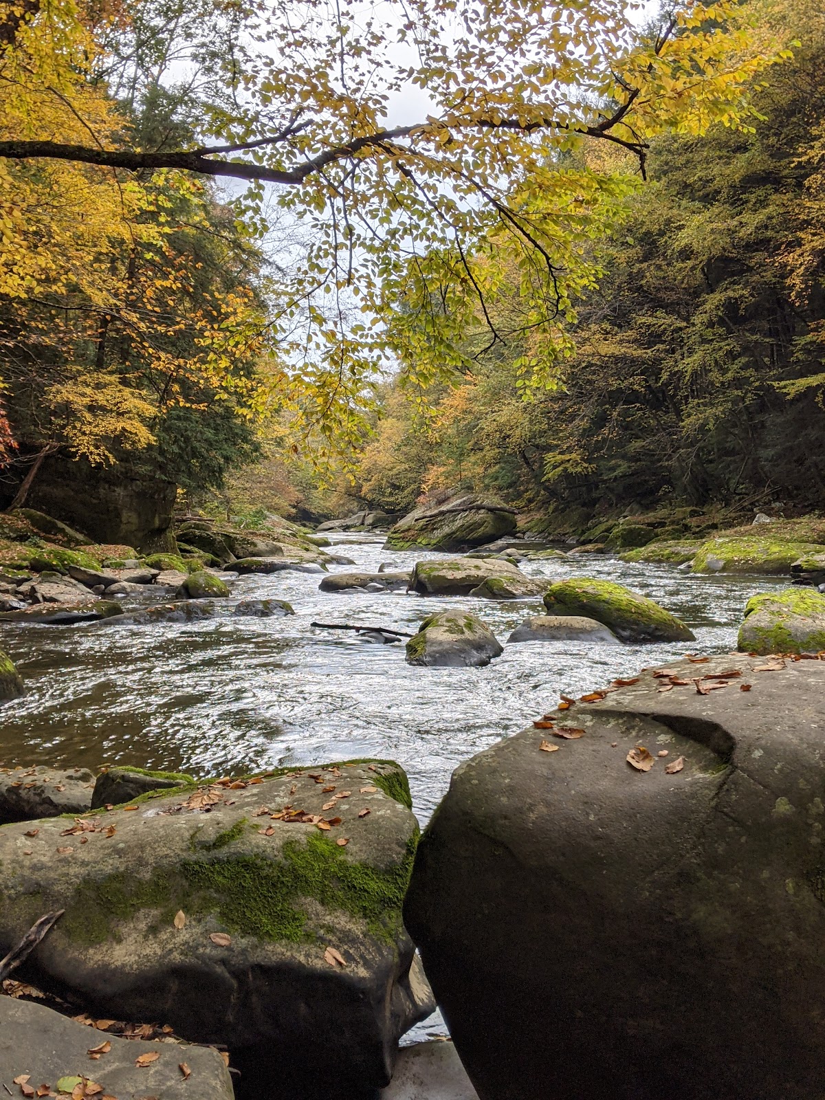 Slippery Rock Creek