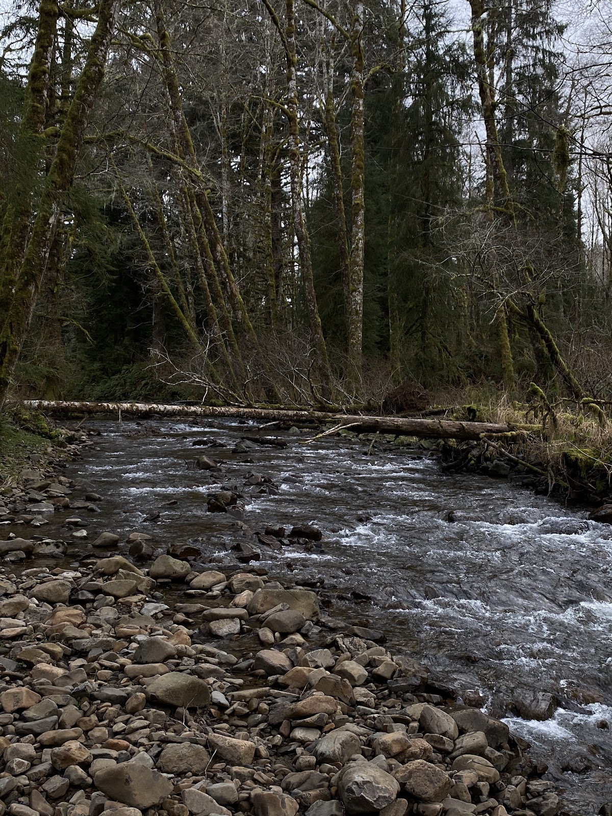 South Fork Klaskanine River
