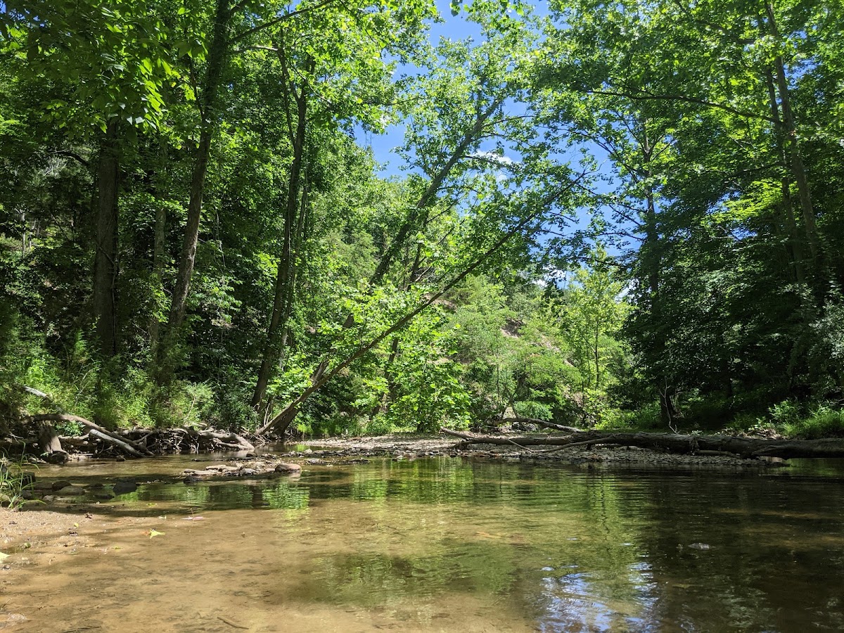 Craig Creek