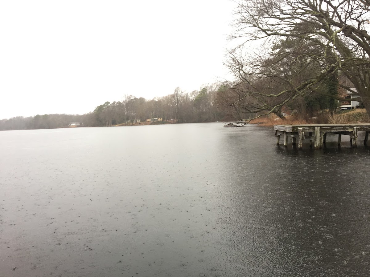Cubbage Pond