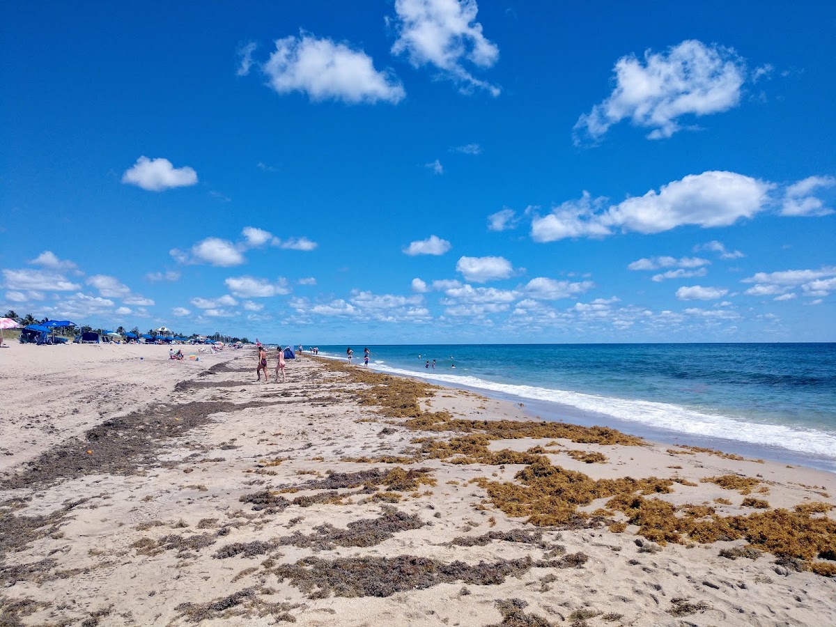 Delray Public Beach
