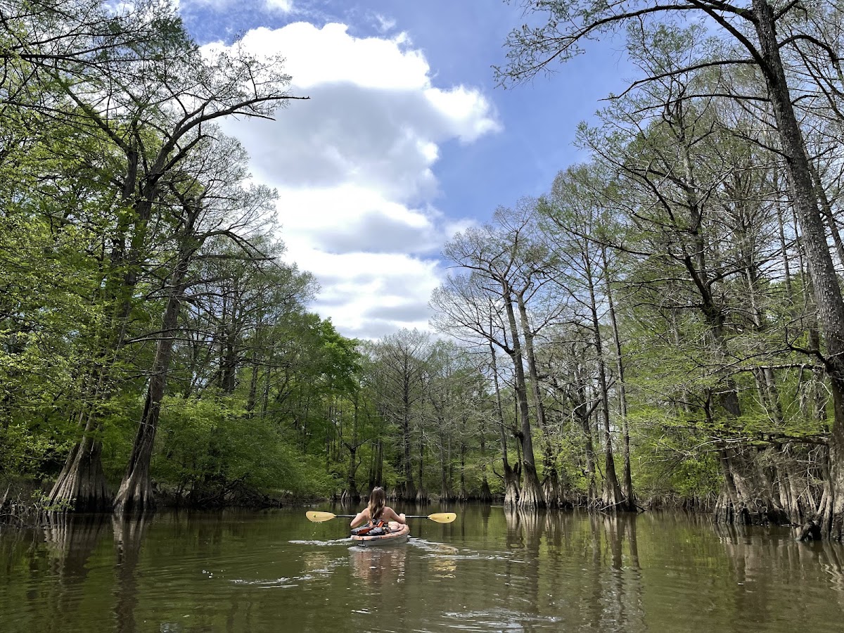 Fourche Creek
