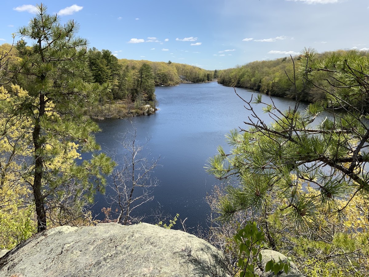 Long and Ell Pond Trail