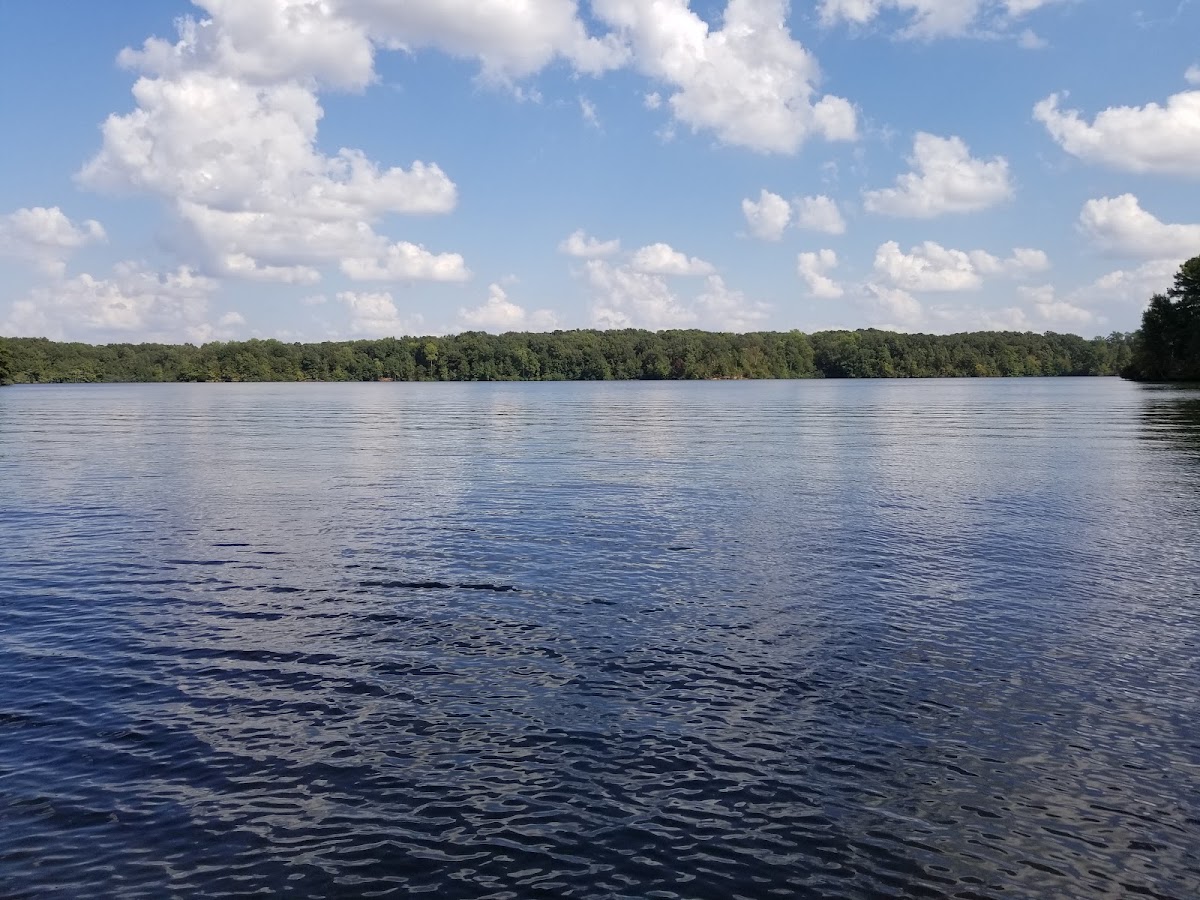 Beech Lake