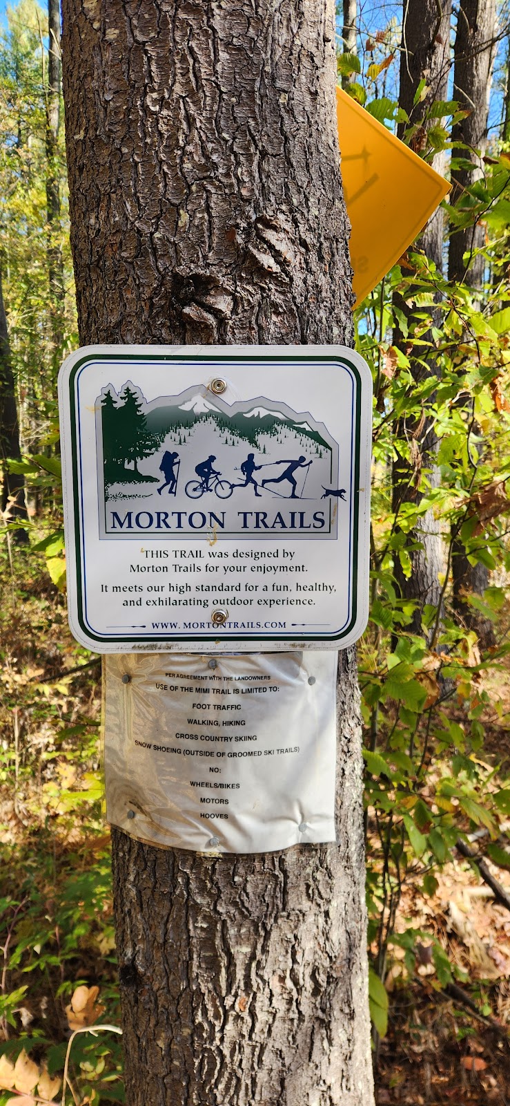 Mimi's Trail