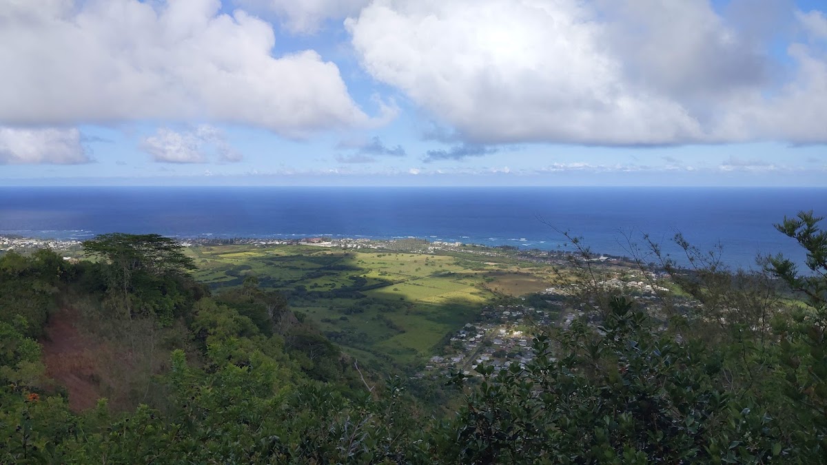 Kuamo'o-Nounou Trail