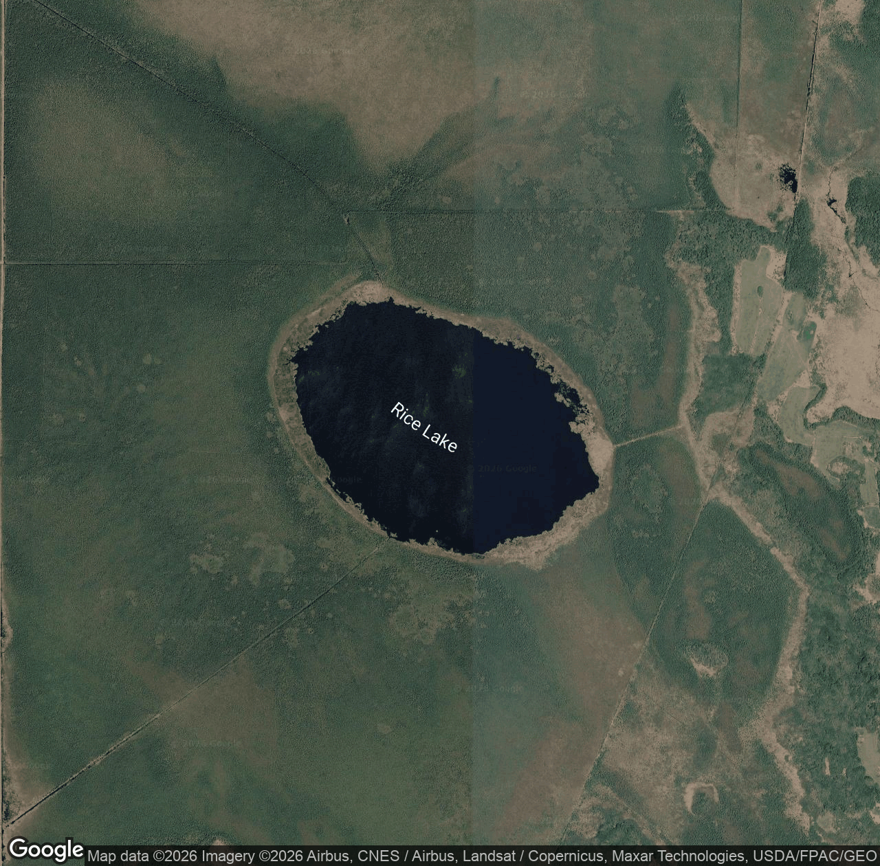 Rice Lake