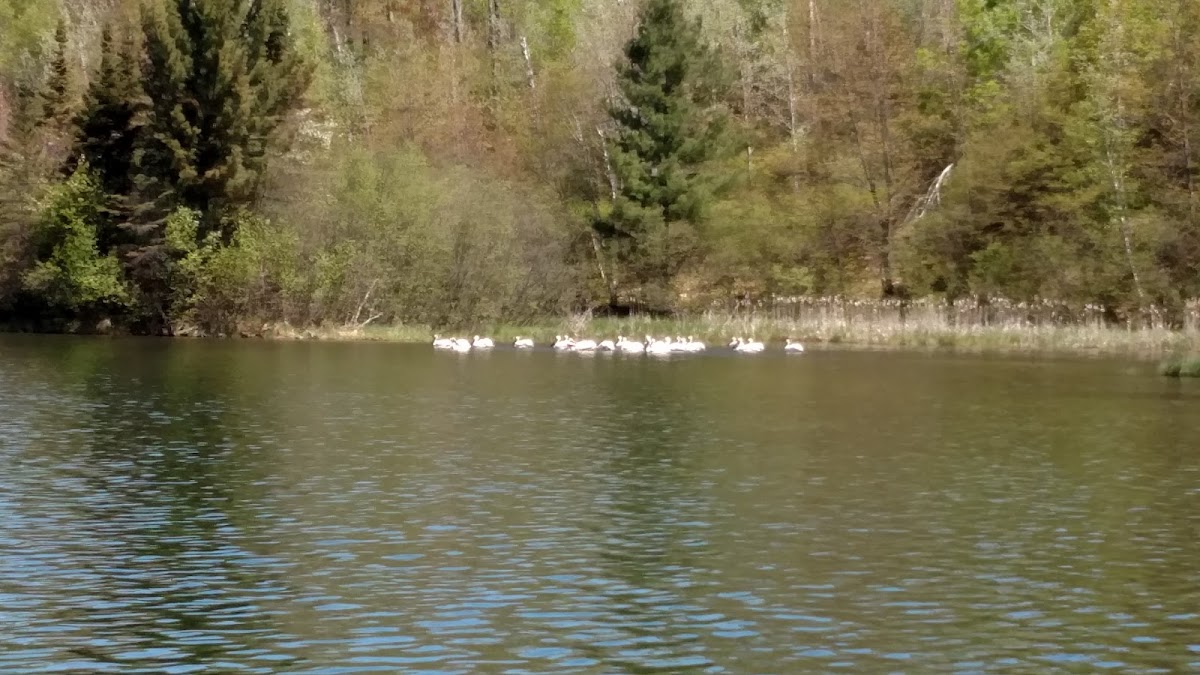 Ruby Lake