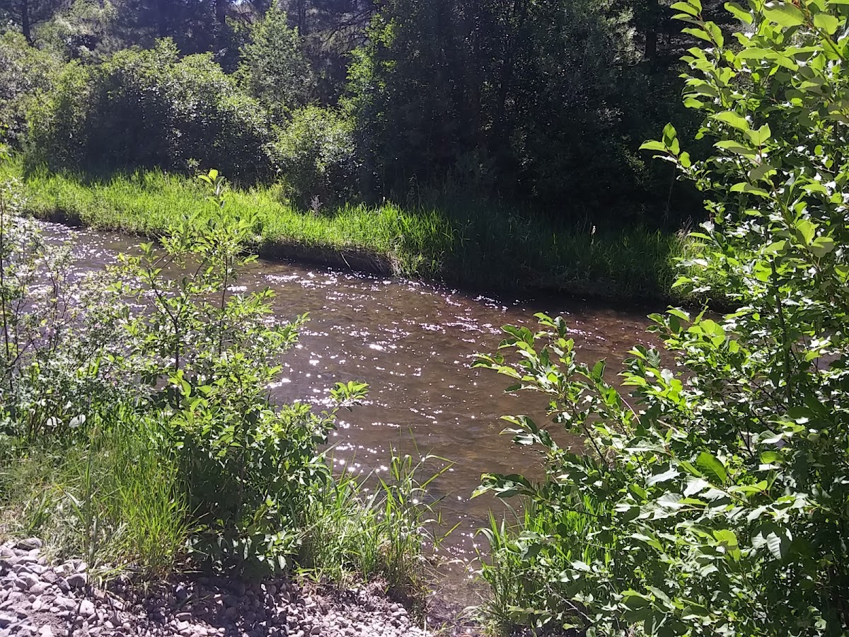 Little Prickly Pear Creek