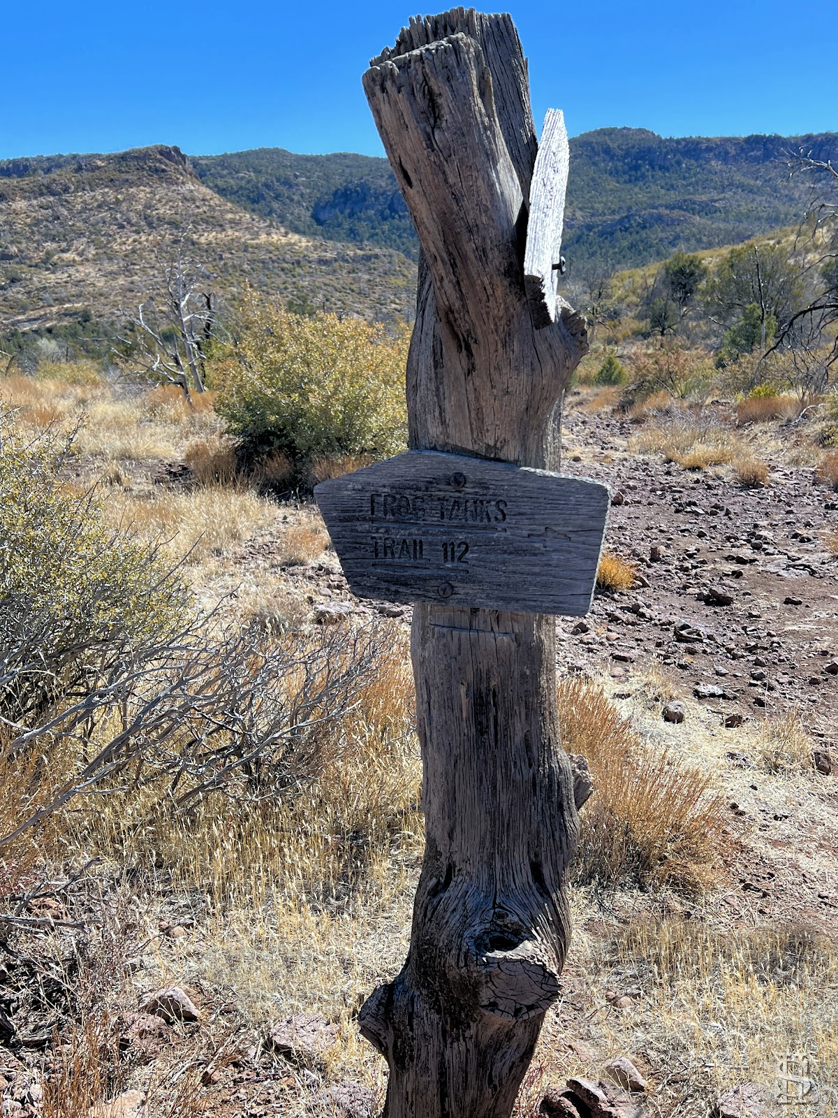 Frog Tanks Trail #112