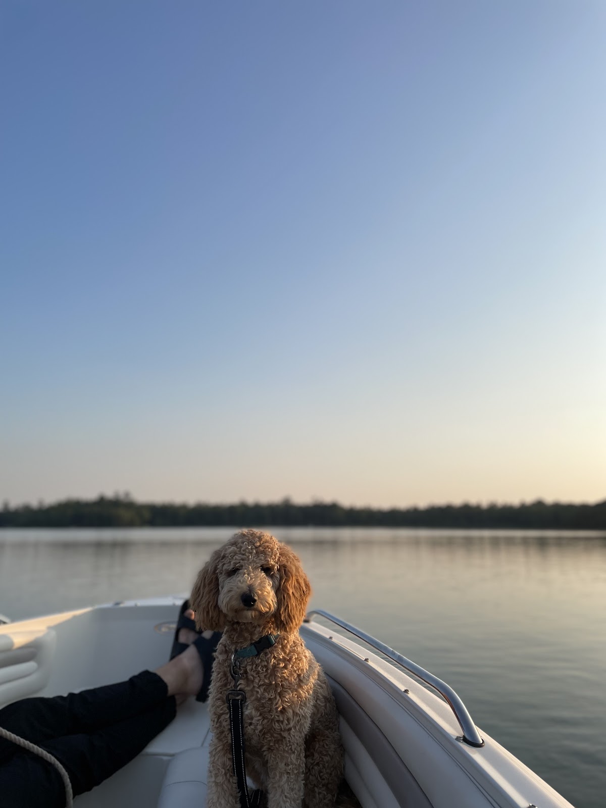 Turtle Lake